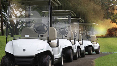golfcart quality and style, yamaha golf car, yamaha battery car, yamaha electric car, why yamaha golfcart