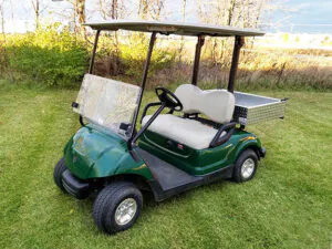electric utility vehicle 2-seater