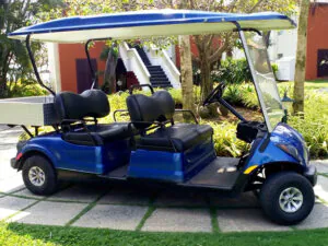 electric utility vehicle 4-seater